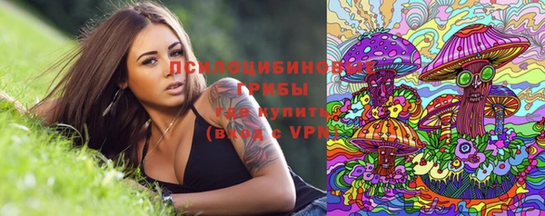 экстази Вяземский