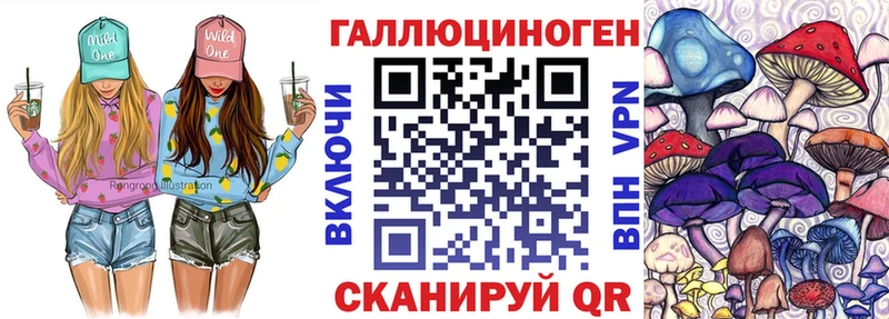 Купить где  Мезень  Псилоцибиновые грибы прущие грибы 