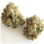 Шишки "White Widow"  (Белая вдова)  Гидропоника -  Бошка VHQ в Мезени